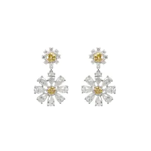 18K White Gold Tdw. 5.06ct Diamond Earring - 20735968